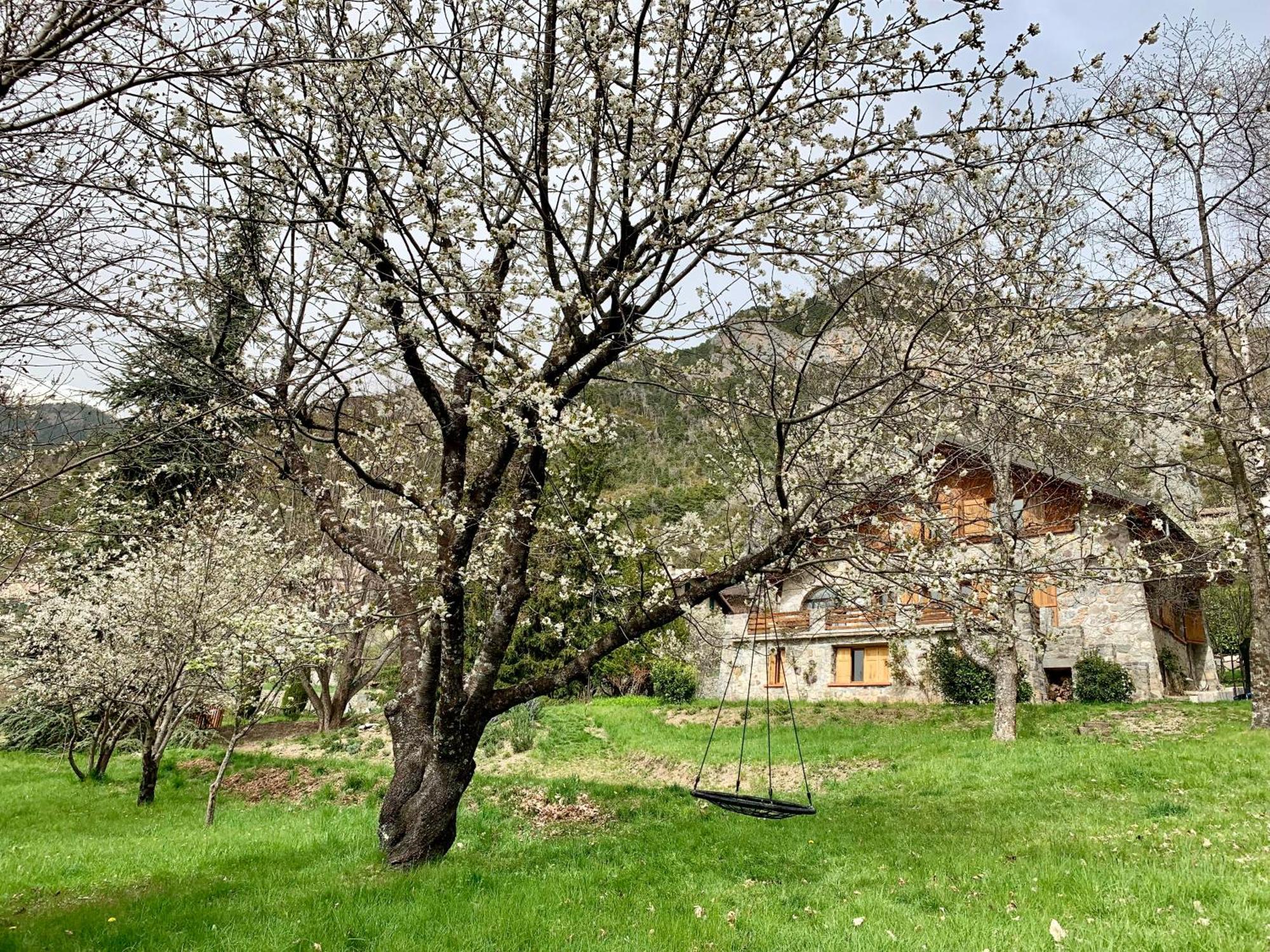 Chalet Le Tilleul Valdeblore Εξωτερικό φωτογραφία