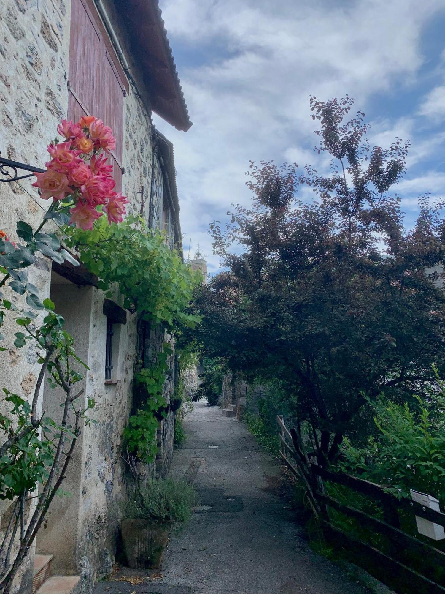 Chalet Le Tilleul Valdeblore Εξωτερικό φωτογραφία