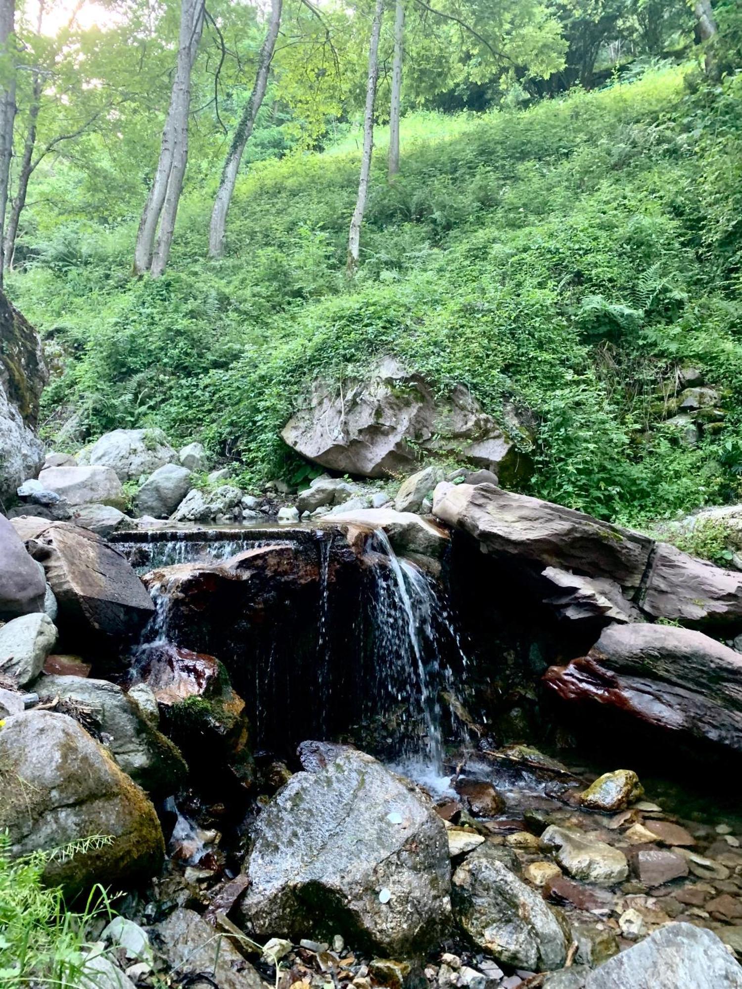 Chalet Le Tilleul Valdeblore Εξωτερικό φωτογραφία